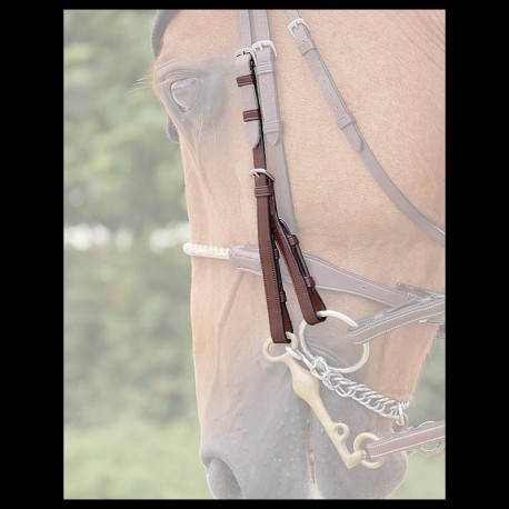 DOUBLE BRIDLE CHEEK DYON