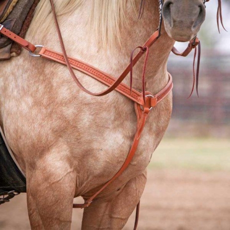 PETTORALE SPIDER STAMP COWBOY TACK