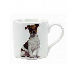 TAZZA JACK RUSSELL GRAY'S